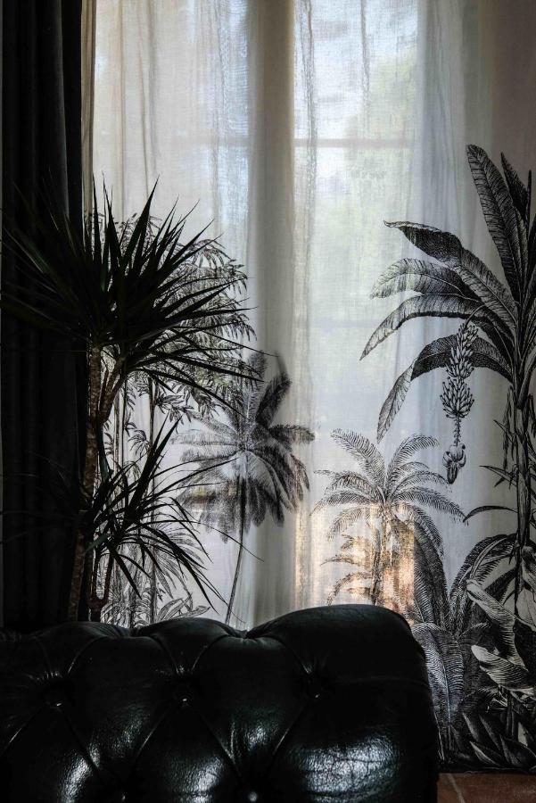 Villa Des Antiquaires เบดาริยูส์ ภายนอก รูปภาพ